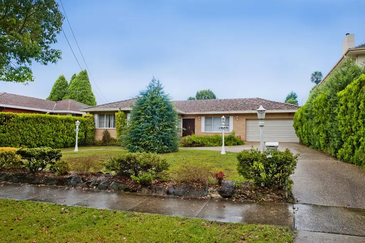 Main view of Homely house listing, 10 Jersey Road, Strathfield NSW 2135