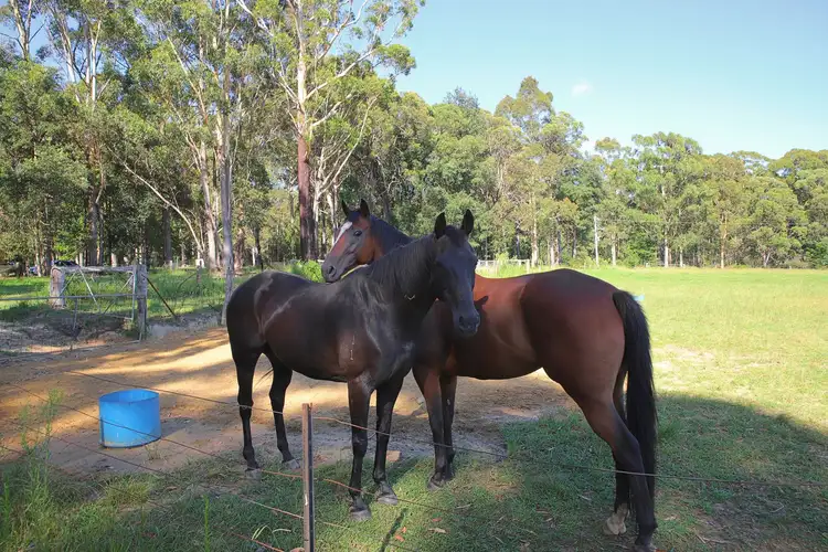Second view of Homely rural property listing, 437 Hawken Road, Tomerong NSW 2540