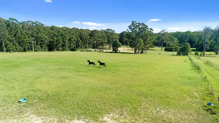 Third view of Homely rural property listing, 437 Hawken Road, Tomerong NSW 2540