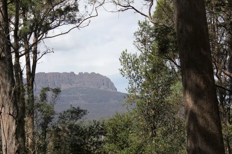 140 Fishers Tier Rd, Deddington TAS 7212