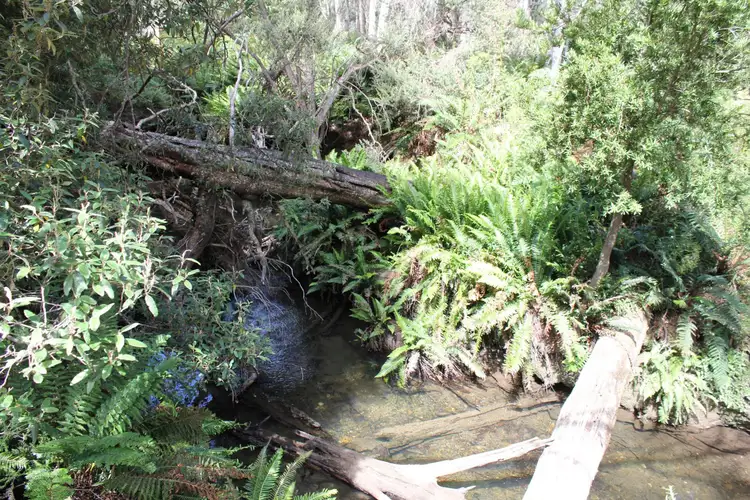 Fourth view of Homely rural property listing, 140 Fishers Tier Rd, Deddington TAS 7212