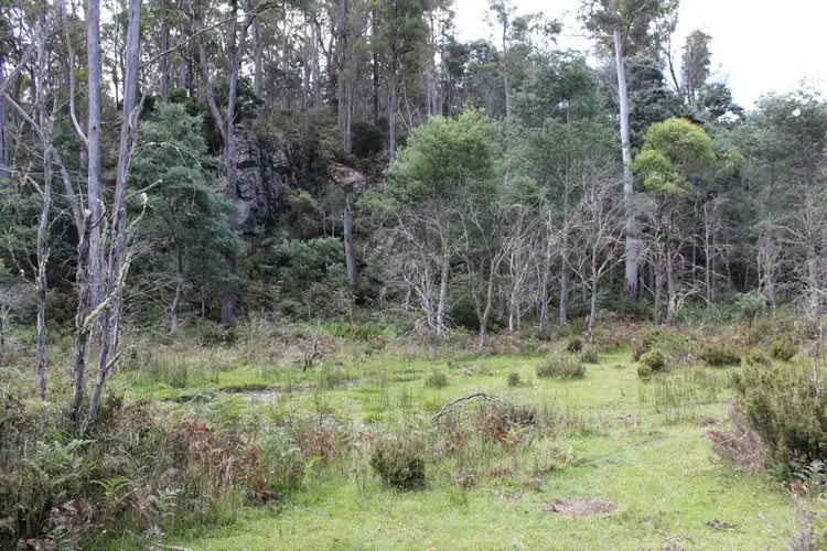 Fifth view of Homely rural property listing, 140 Fishers Tier Rd, Deddington TAS 7212