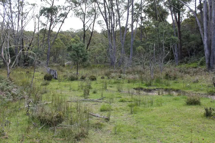 Sixth view of Homely rural property listing, 140 Fishers Tier Rd, Deddington TAS 7212