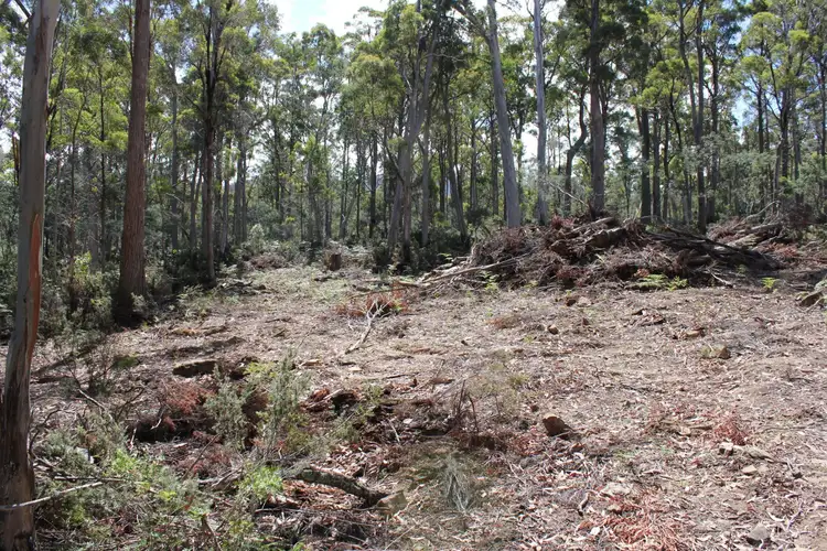 Seventh view of Homely rural property listing, 140 Fishers Tier Rd, Deddington TAS 7212