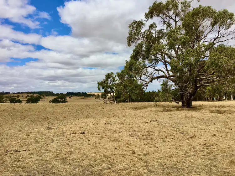 Third view of Homely land listing, 1054 Cedar Ave, Naracoorte SA 5271