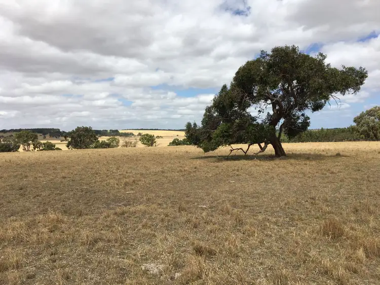 Sixth view of Homely land listing, 1054 Cedar Ave, Naracoorte SA 5271