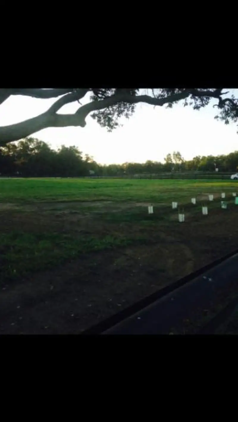 Main view of Homely rural property listing, Lot 2208 Todman Grove, Darling Downs WA 6122