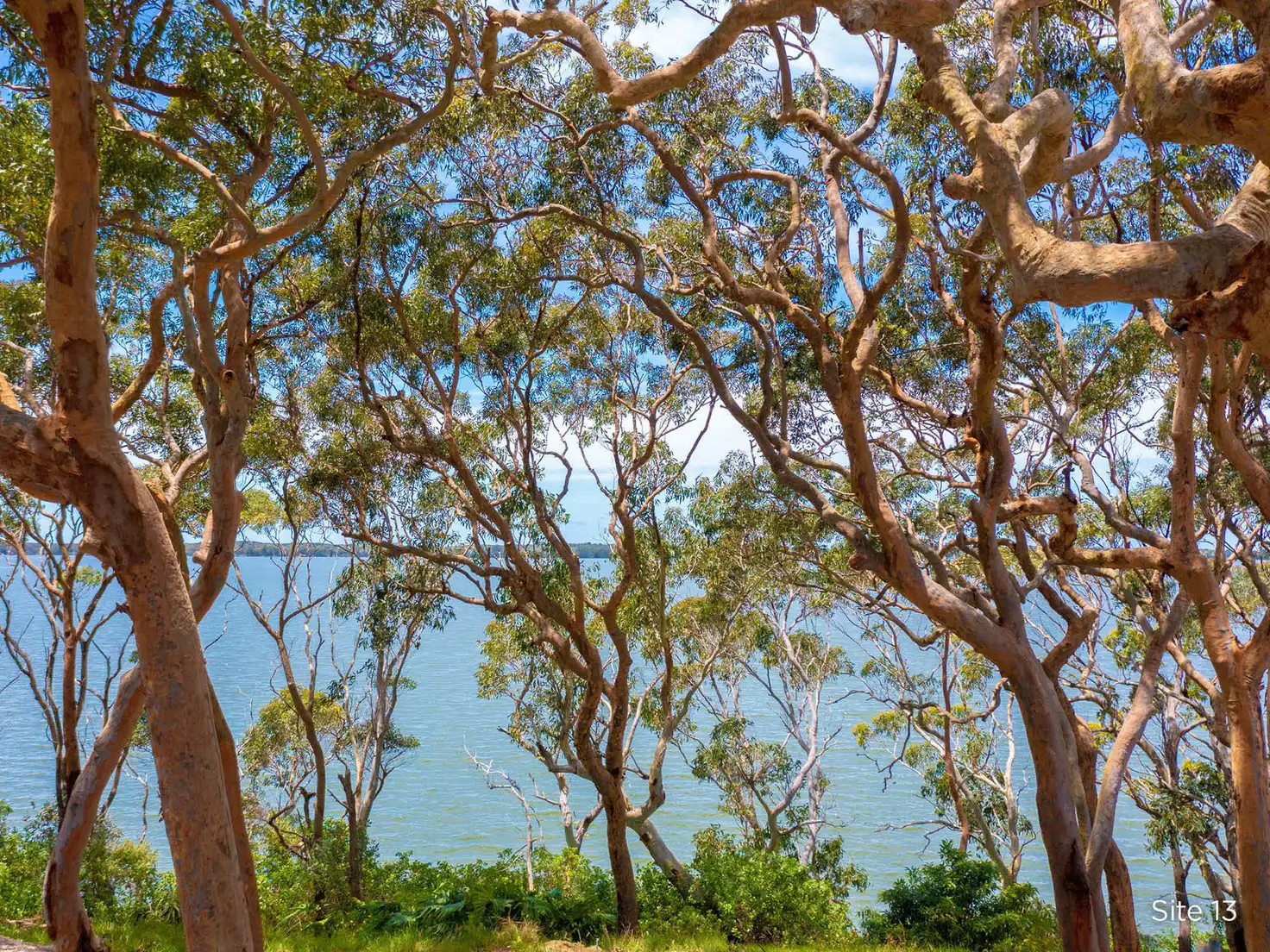 Main view of Homely retirement listing, 13/2 Macleay Drive, Halekulani NSW 2262