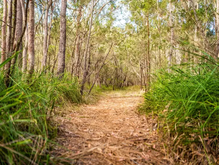 Sixth view of Homely retirement listing, 13/2 Macleay Drive, Halekulani NSW 2262