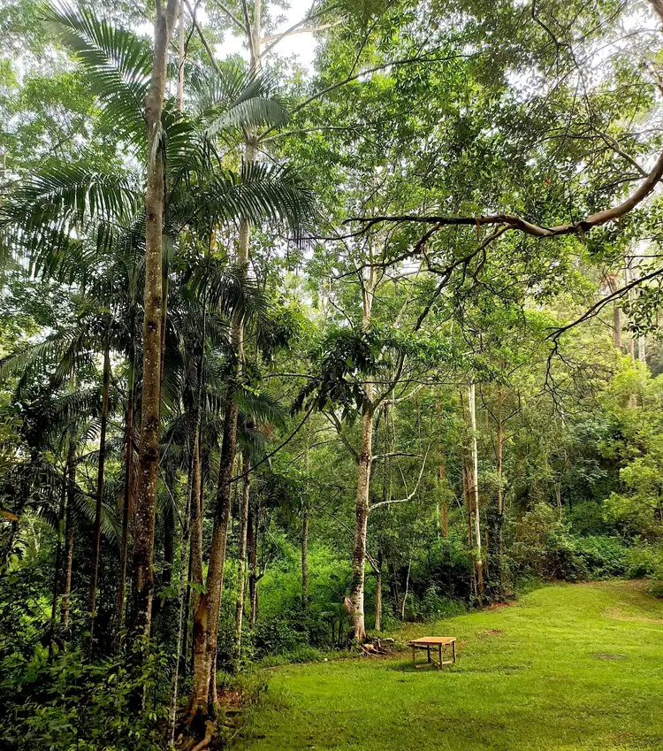 Third view of Homely house listing, 107 Old Ceylon Road, Ridgewood QLD 4563