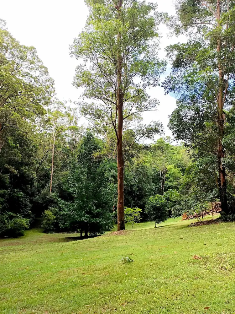 Seventh view of Homely house listing, 107 Old Ceylon Road, Ridgewood QLD 4563