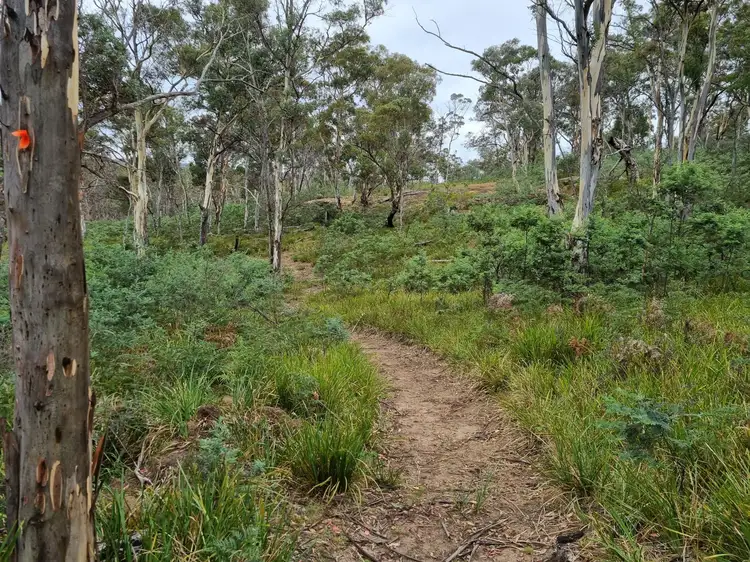 Lot 1 Wellwood Road, Osterley TAS 7140