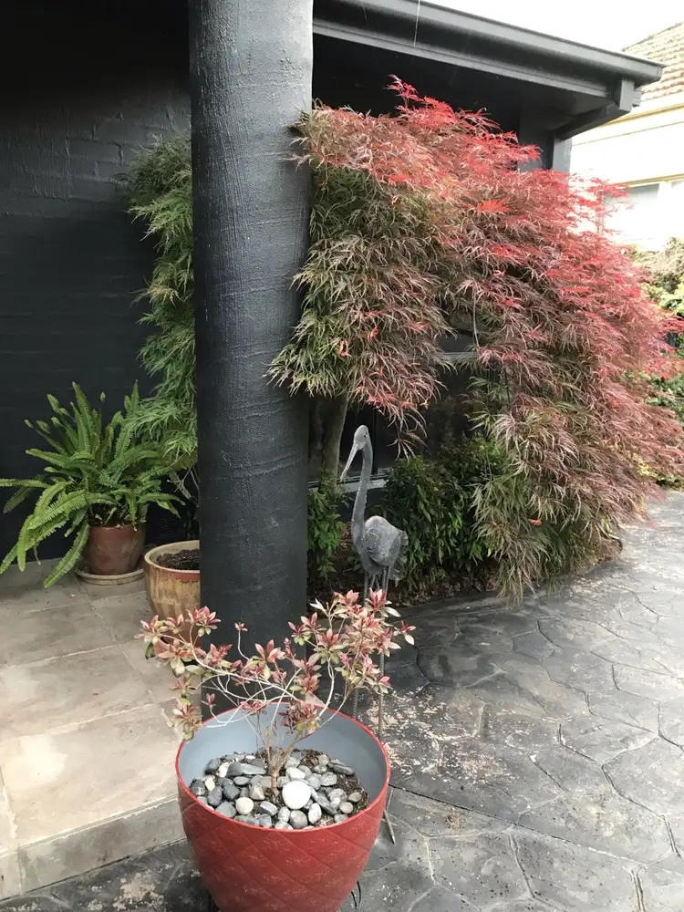 Second view of Homely house listing, 16 Riverview Crescent, Wangaratta VIC 3677