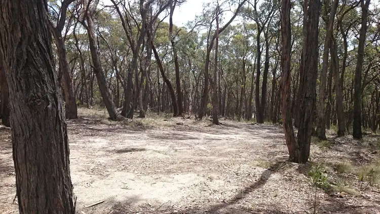 Sixth view of Homely land listing, 13 Rowlers Road, Snake Valley VIC 3351