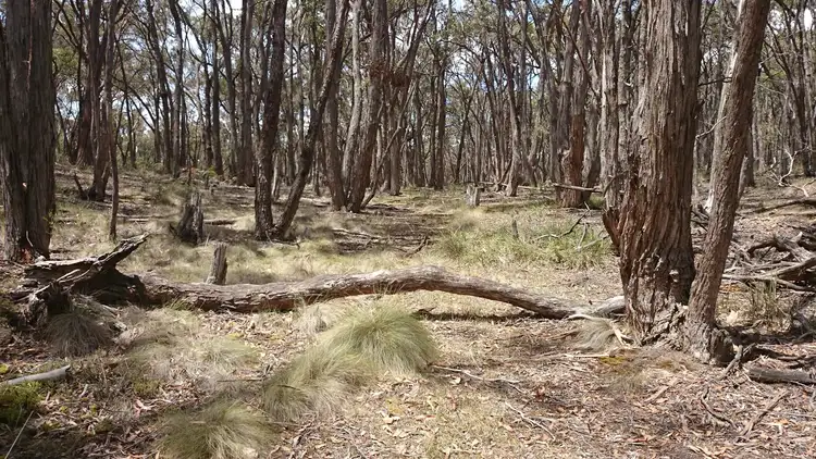 Seventh view of Homely land listing, 13 Rowlers Road, Snake Valley VIC 3351