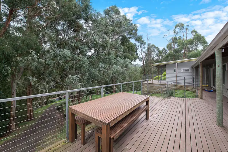 360 Wild Dog Road, Apollo Bay VIC 3233