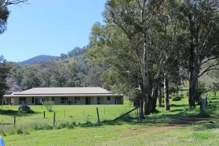 681 Duncans Creek Road, Duncans Creek NSW 2340