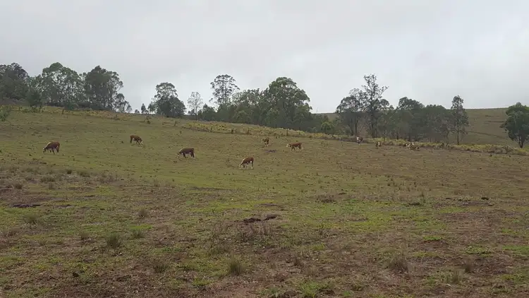 Second view of Homely land listing, 414-378 Urbenville Road, Urbenville NSW 2475