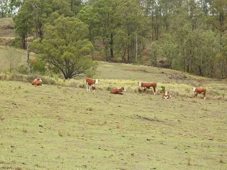 Fourth view of Homely land listing, 414-378 Urbenville Road, Urbenville NSW 2475