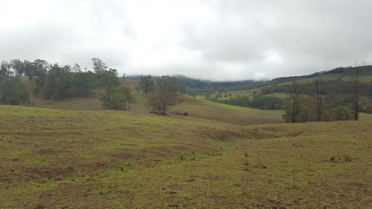 Sixth view of Homely land listing, 414-378 Urbenville Road, Urbenville NSW 2475
