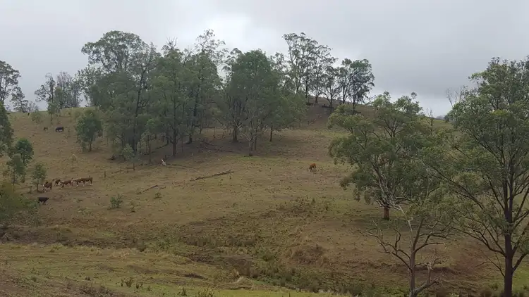 Seventh view of Homely land listing, 414-378 Urbenville Road, Urbenville NSW 2475