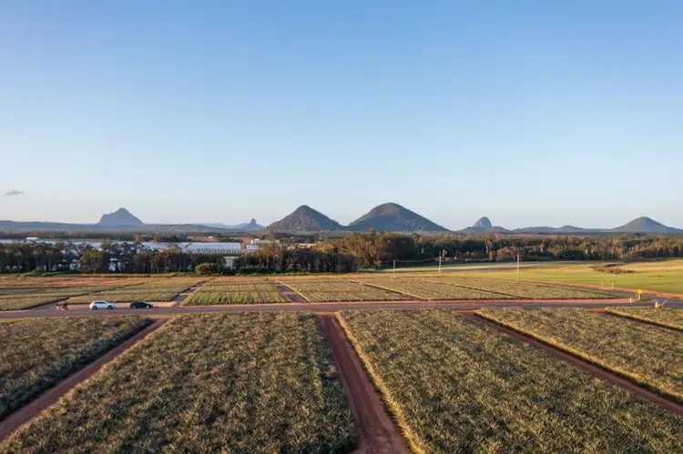 Third view of Homely land listing, Lot 14 Pates Road, Wamuran QLD 4512