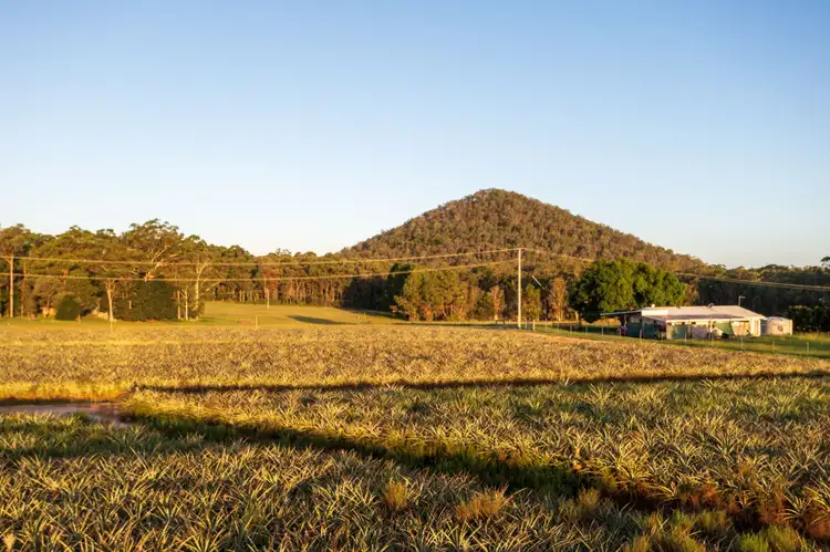 Fifth view of Homely land listing, Lot 14 Pates Road, Wamuran QLD 4512