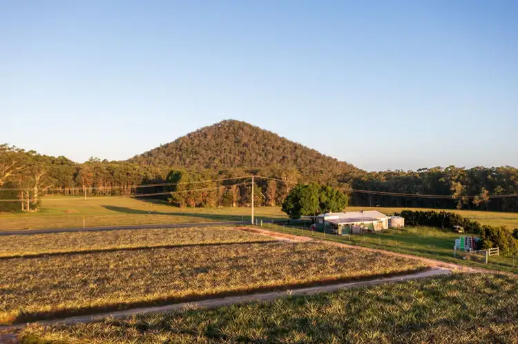 Seventh view of Homely land listing, Lot 14 Pates Road, Wamuran QLD 4512