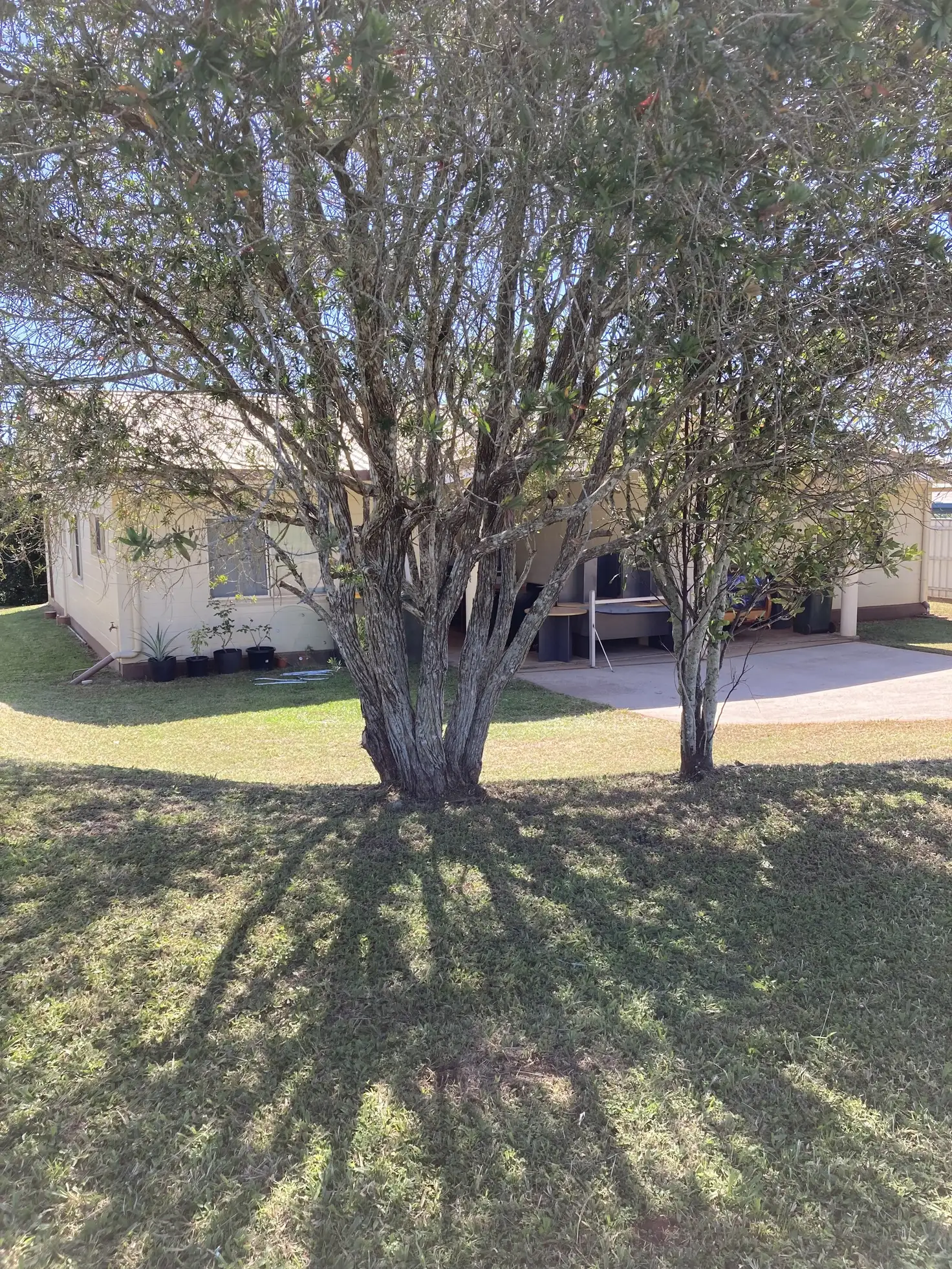 Main view of Homely other listing, 1 & 2/29 Goldview Street, Atherton QLD 4883