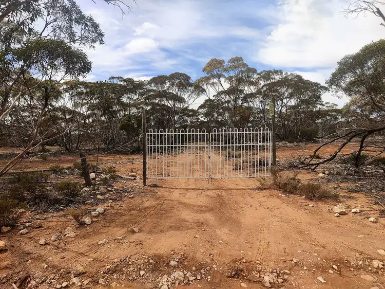 Main view of Homely rural property listing, Lot 1 W Falkenbergs Road, Sedan SA 5353