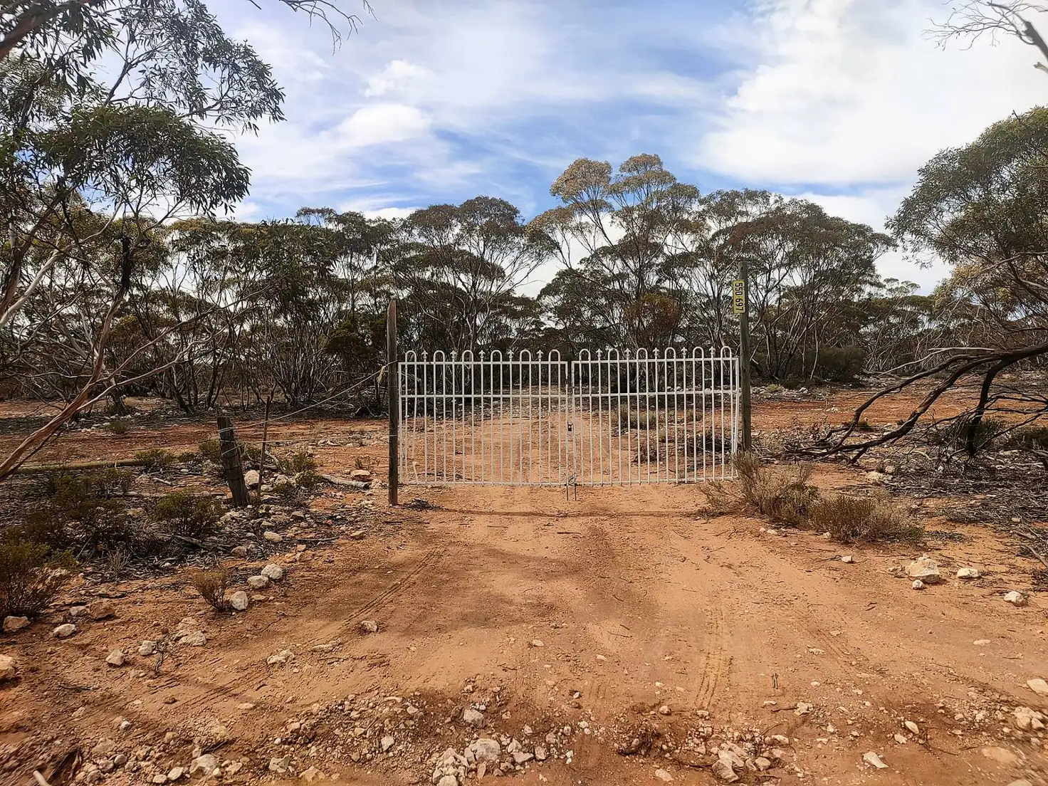 Main view of Homely rural property listing, Lot 1 W Falkenbergs Road, Sedan SA 5353