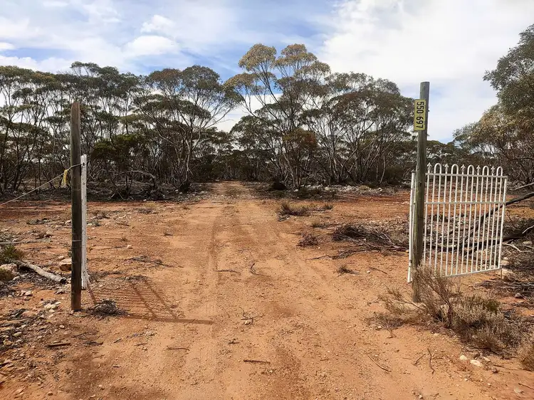 Third view of Homely rural property listing, Lot 1 W Falkenbergs Road, Sedan SA 5353