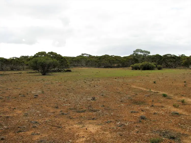 Seventh view of Homely rural property listing, Lot 1 W Falkenbergs Road, Sedan SA 5353