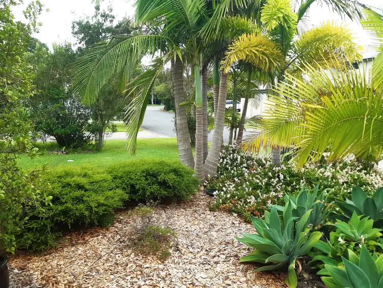 Fourth view of Homely house listing, 8 Alicia Circuit, Little Mountain QLD 4551
