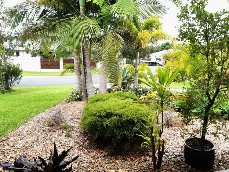 Sixth view of Homely house listing, 8 Alicia Circuit, Little Mountain QLD 4551