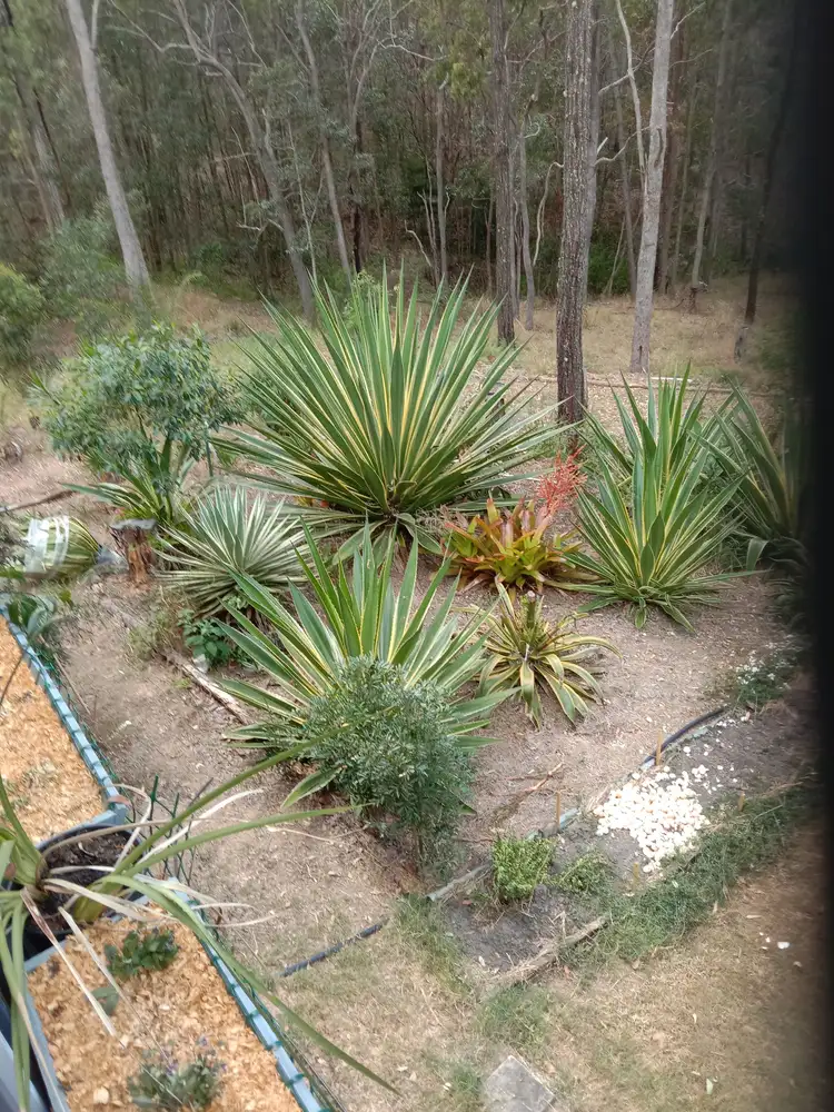 Fourth view of Homely house listing, 740 Kenilworth Skyring Creek Road, Carters Ridge QLD 4563