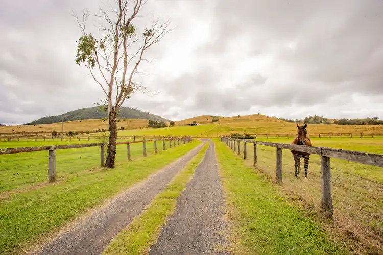 Fourth view of Homely house listing, 1310 Sandy Creek Road, Mccullys Gap NSW 2333