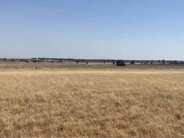 Second view of Homely rural property listing, . Glenlossie, Narromine NSW 2821