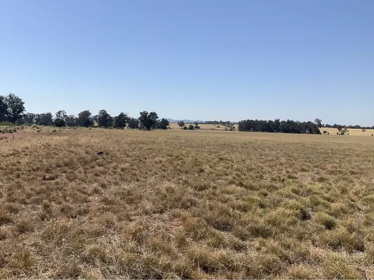 Fifth view of Homely rural property listing, . Glenlossie, Narromine NSW 2821