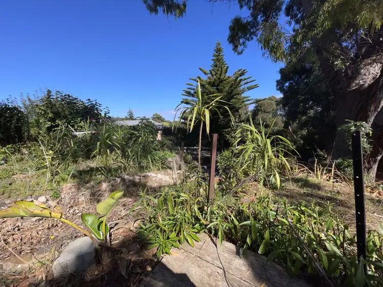 Sixth view of Homely house listing, 67 Don Road, Devonport TAS 7310