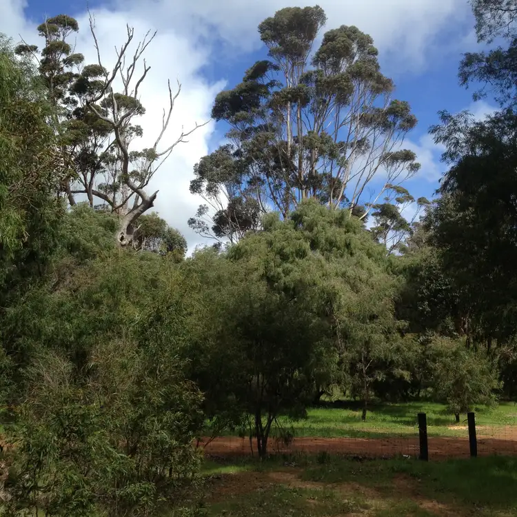 15 Timber Court, Cowaramup WA 6284