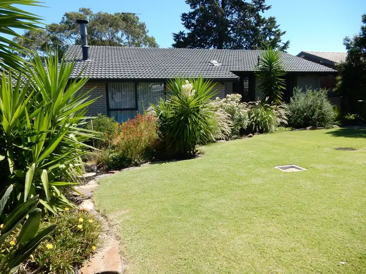 Main view of Homely house listing, 11 Bone Street, Morphett Vale SA 5162