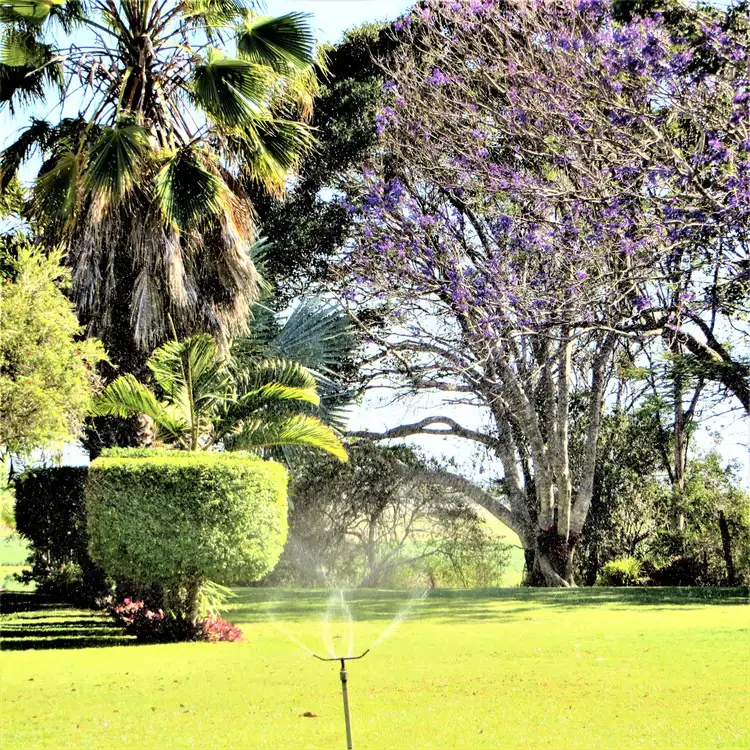 Third view of Homely house listing, 88 Davis Road, Sharon QLD 4670