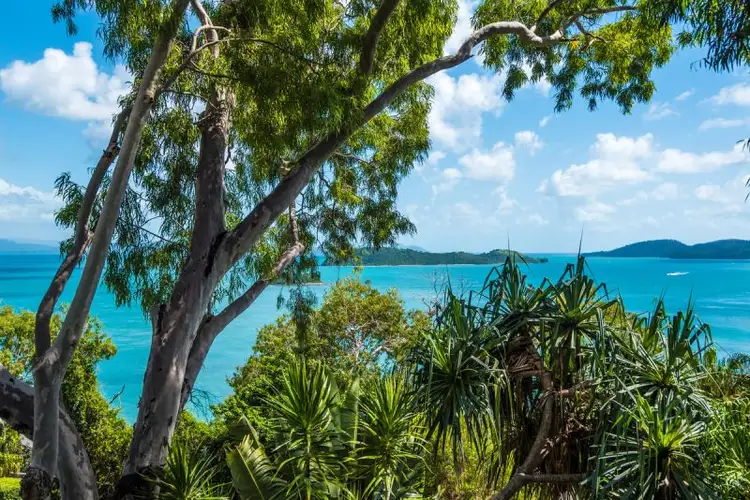 Pandanus P/4 Banskia Court, Hamilton Island QLD 4803