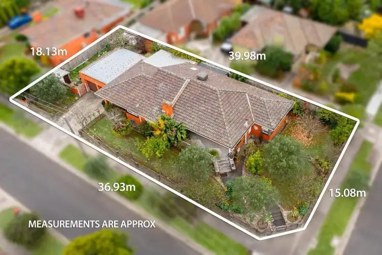 Main view of Homely house listing, 19 Oakern Street, Mount Waverley VIC 3149