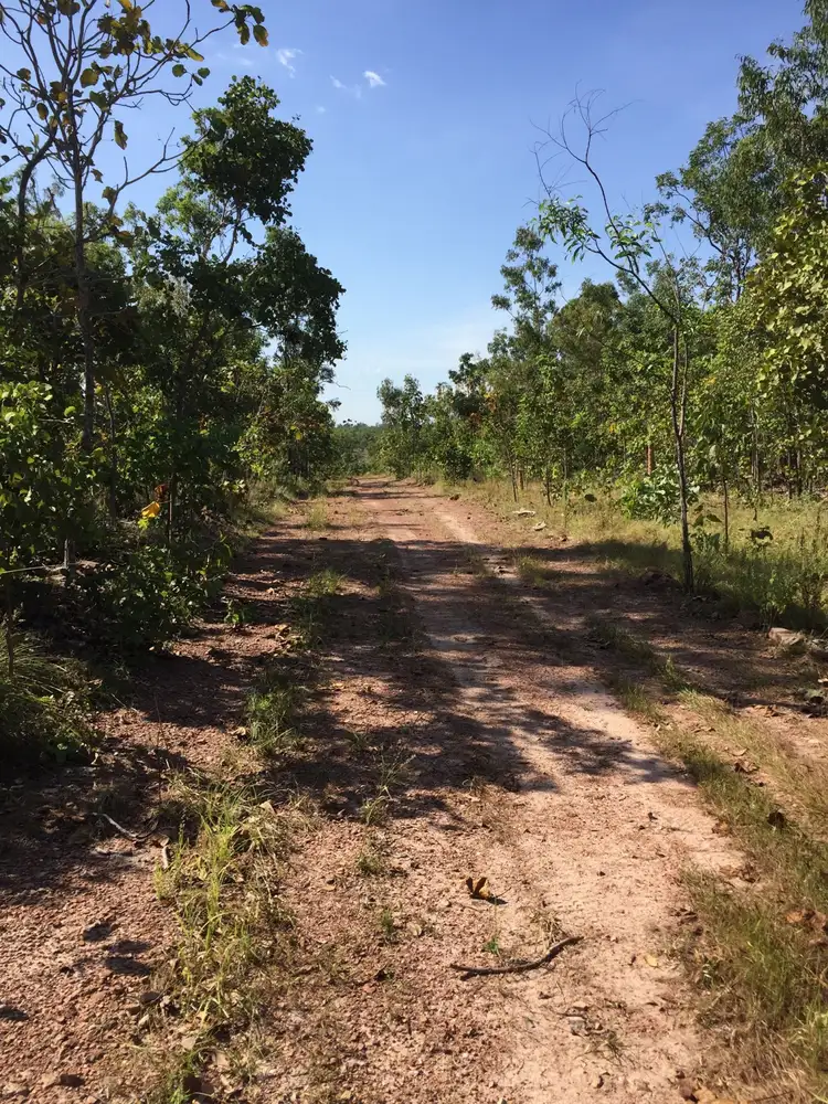 Sixth view of Homely rural property listing, 215 Stephen Road, Marrakai NT 822