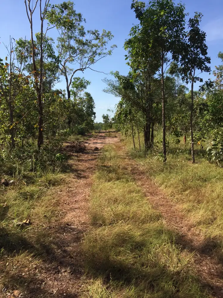Seventh view of Homely rural property listing, 215 Stephen Road, Marrakai NT 822