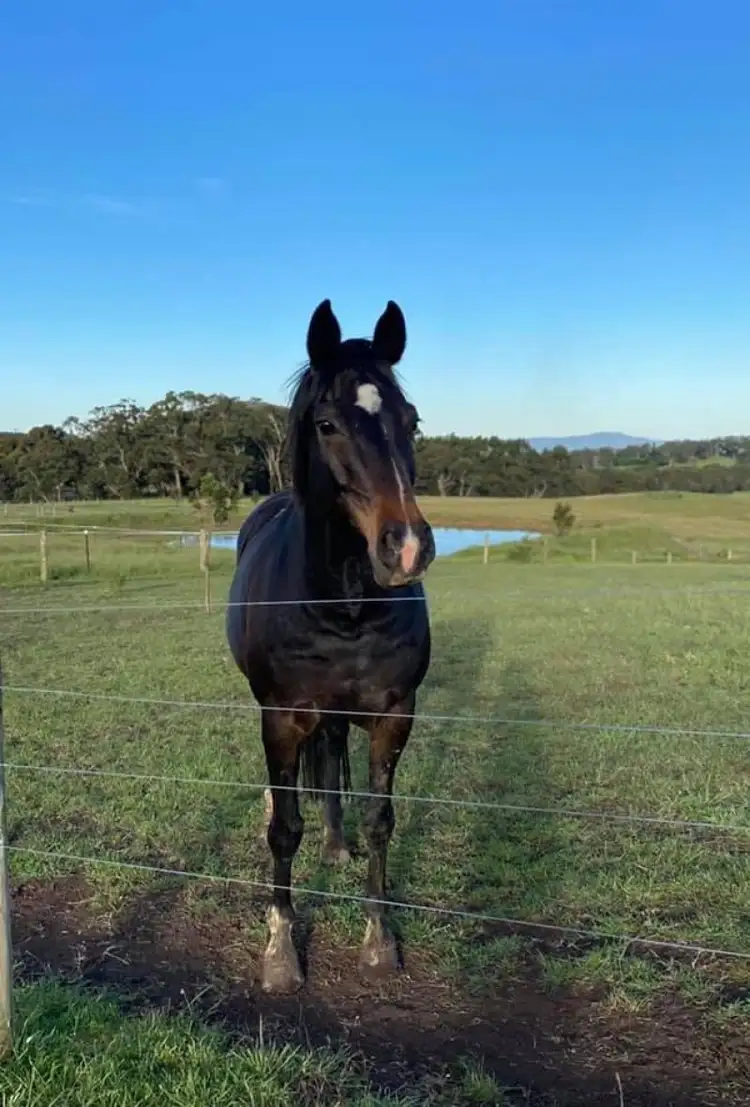 Second view of Homely land listing, 25A Powell’s Track, Lancefield VIC 3435