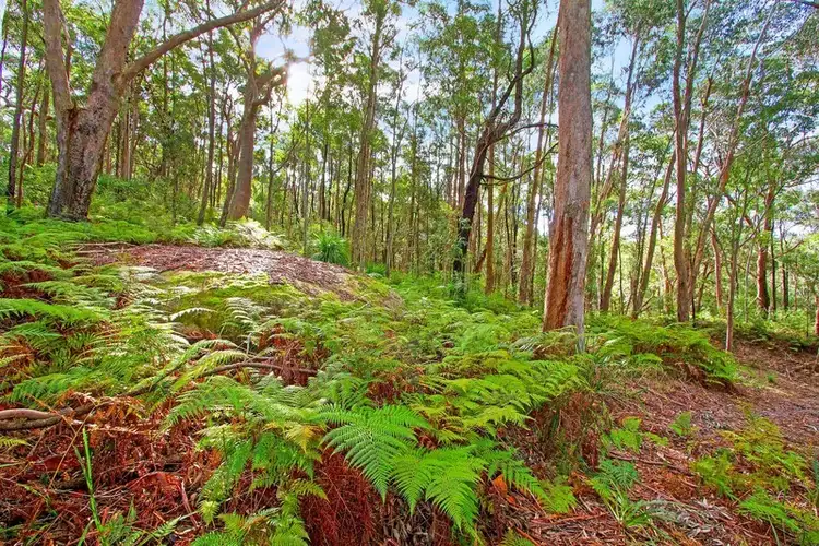 Sixth view of Homely land listing, 217 Burralow Road, Kurrajong Heights NSW 2758