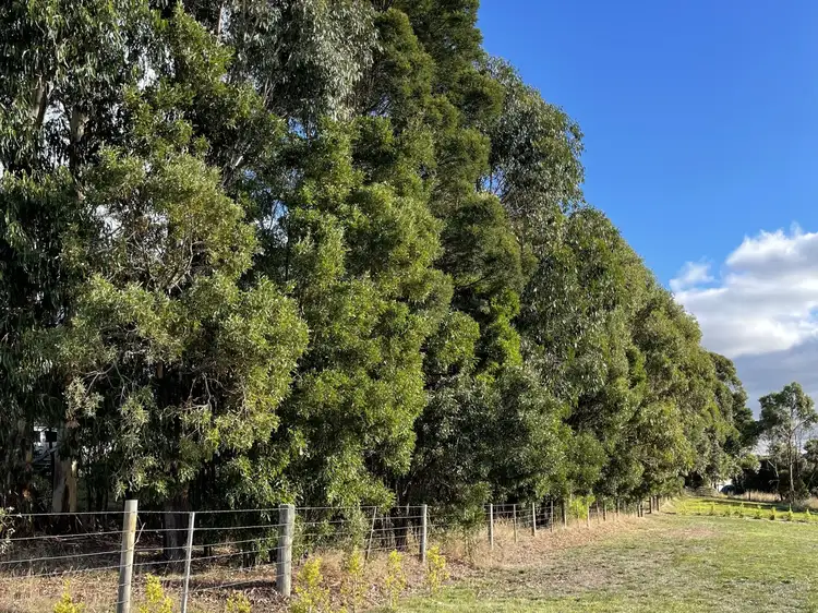 Fifth view of Homely land listing, 190 Belverdere Drive, Elliminyt VIC 3250